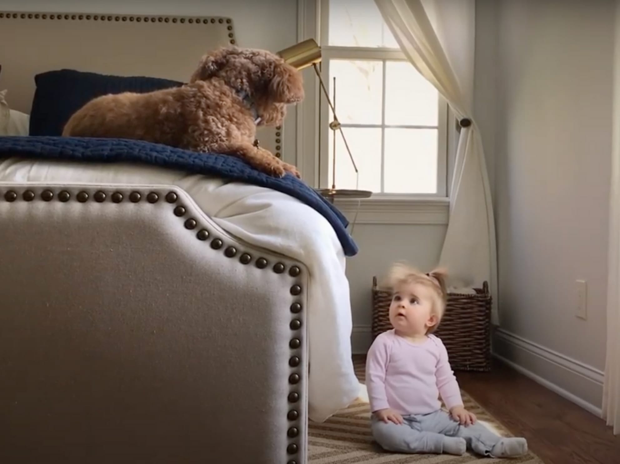 Little girl looking up at dog on bed